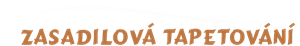 logo firmy EVA ZASADILOVÁ - TAPETOVÁNÍ