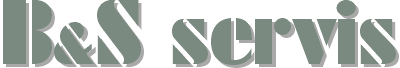 logo firmy B & S SERVIS