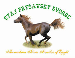 logo firmy HRAZDIL ERIK - Stáj Fryšavský dvorec
