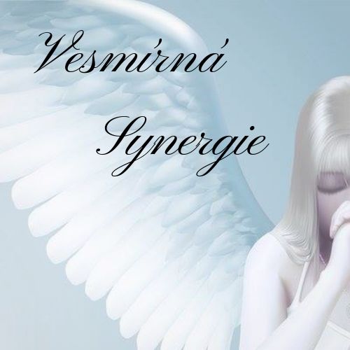 logo firmy Daniela Novosádová - Vesmírná synergie