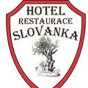 logo firmy Luděk Drahokoupil - Slovanka
