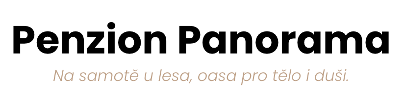 logo firmy PENZION PANORAMA 