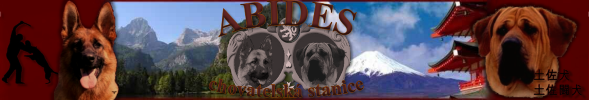 logo firmy ABIDES - chovatelská stanice