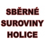 logo firmy VÝKUP DRUHOTNÝCH SUROVIN - BAJER PETR